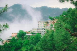 Best locations to Buy Apartments in Murree 